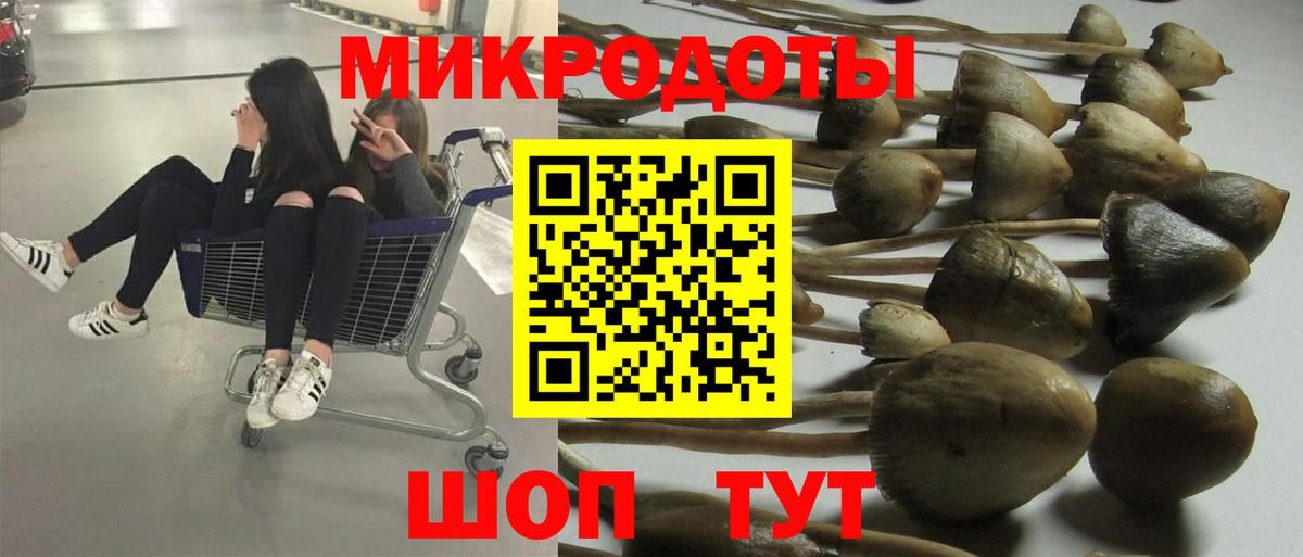 Псилоцибиновые грибы GOLDEN TEACHER  Вход с VPN  Ирбит 