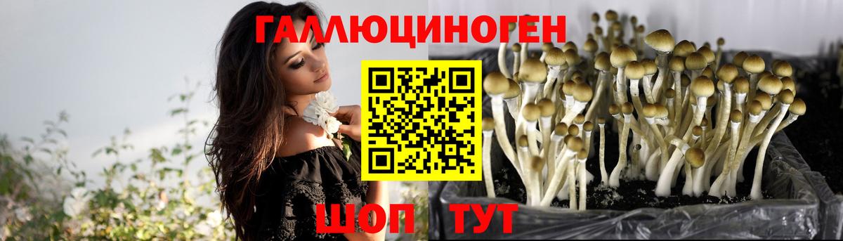 Псилоцибиновые грибы GOLDEN TEACHER Ирбит